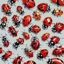 Exterminator control for Ladybugs